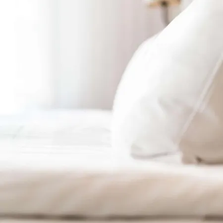 Hotel Scandic Palace 4*